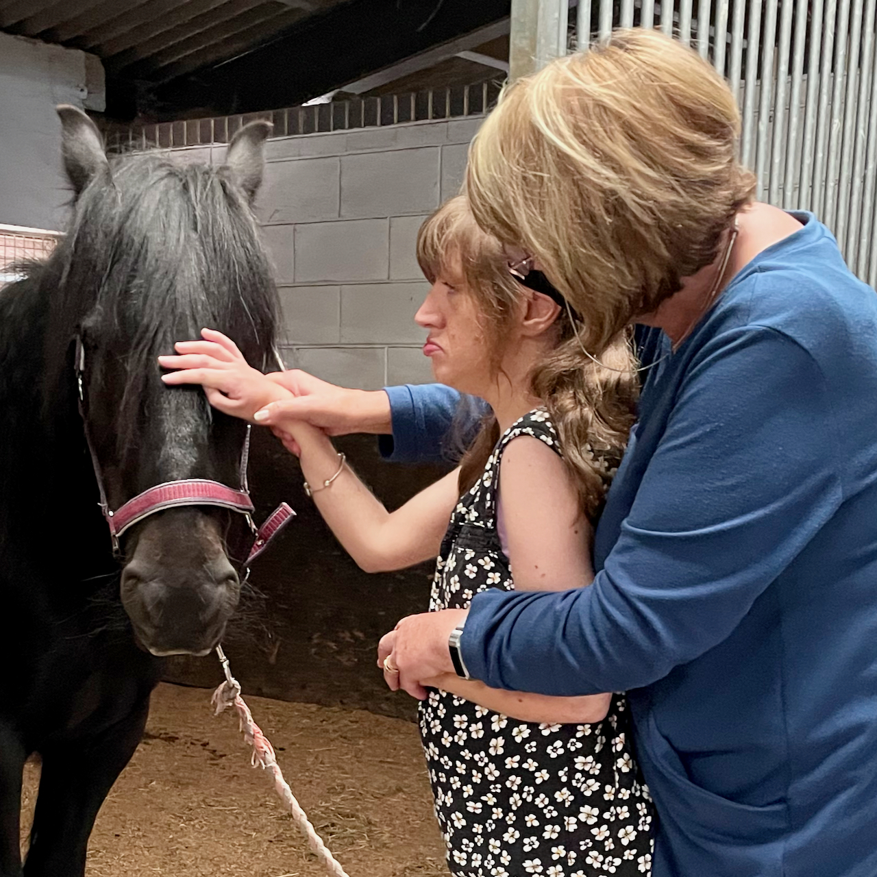 Local charity gallops towards a brighter future thanks to funding