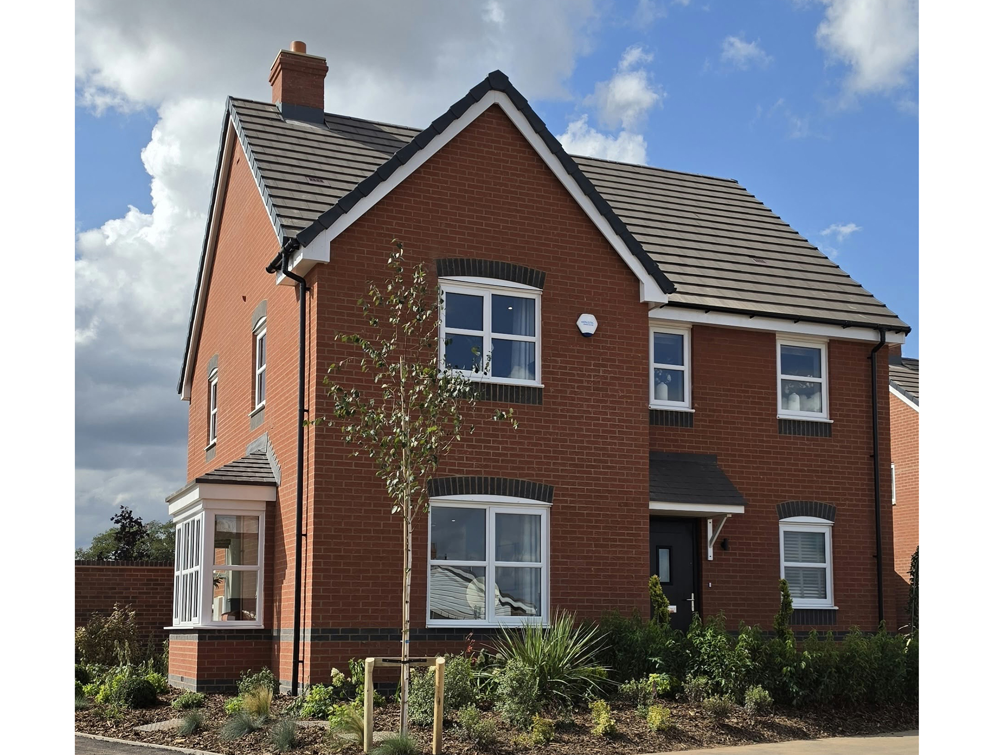 Show Home