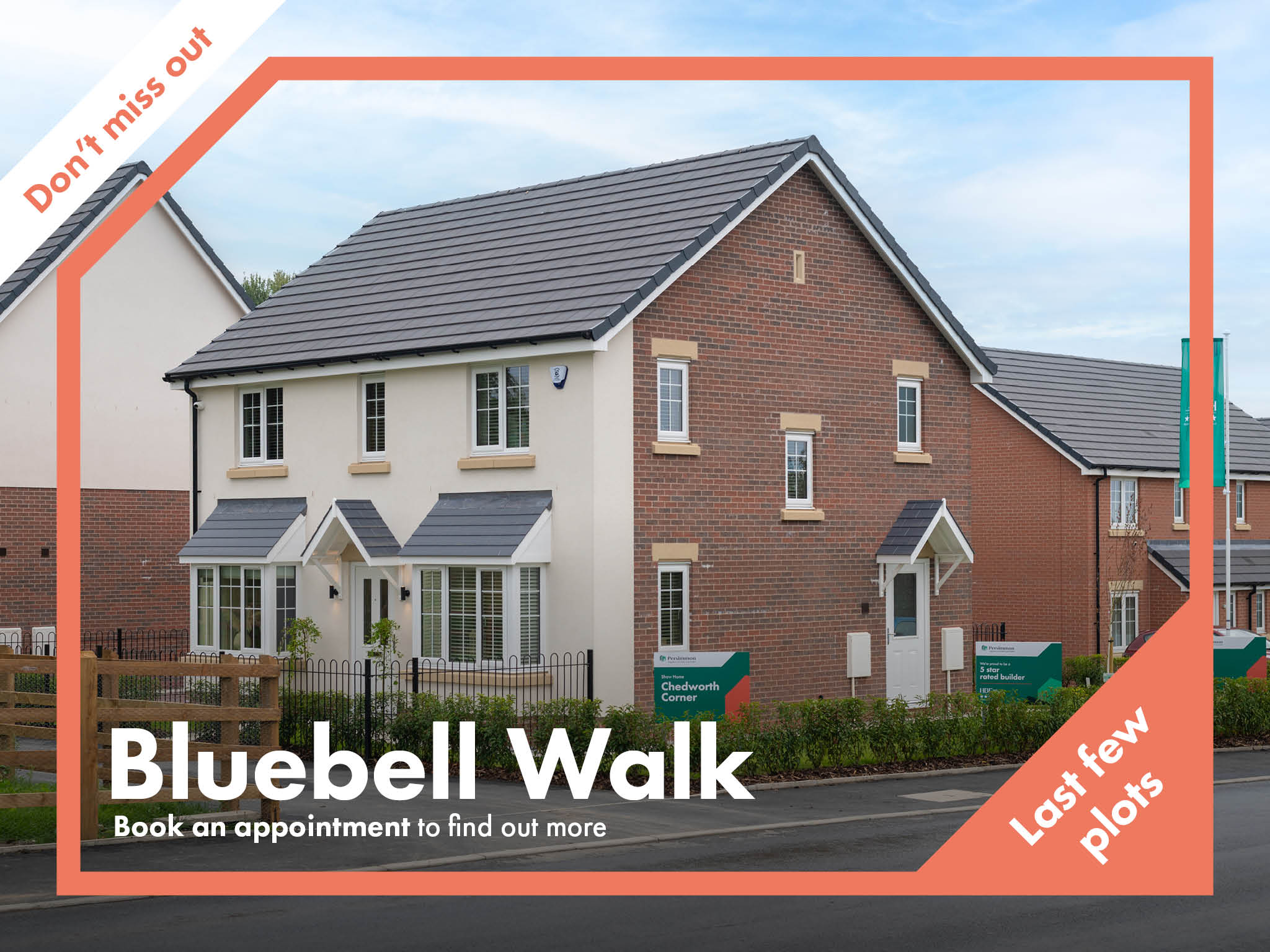 Bluebell Walk