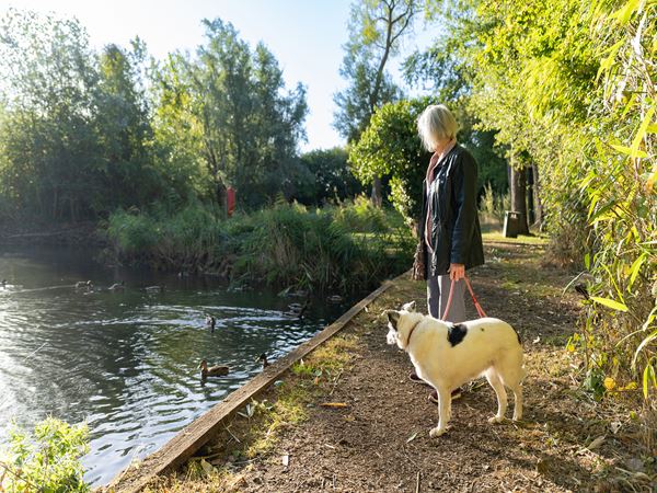 Scenic riverside footpath with person walking dog near Persimmon Homes The Willows development in Downham Market, Norfolk