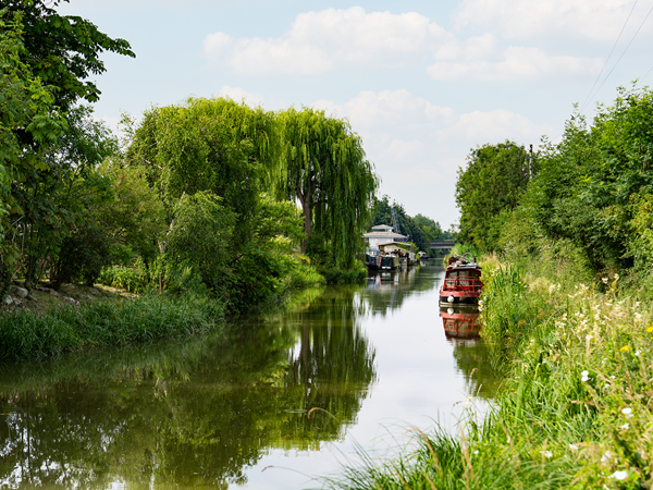 Landscape and the canal around Trowbridge