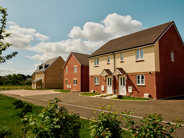 a row of new build houses facing greenery
