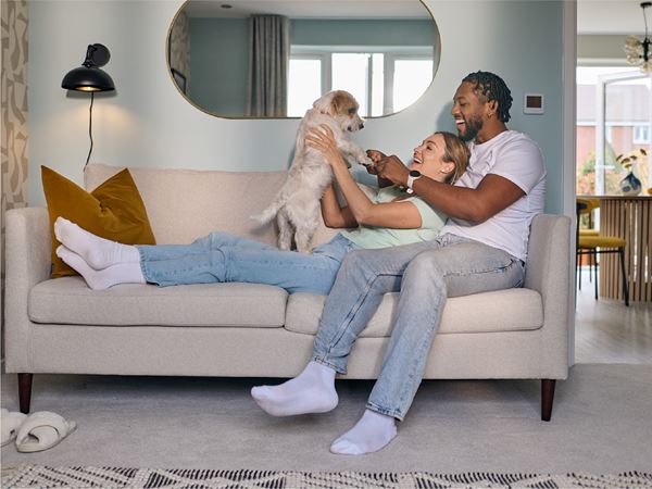 A young couple playing with a dog on the sofa of a modern living room. 
