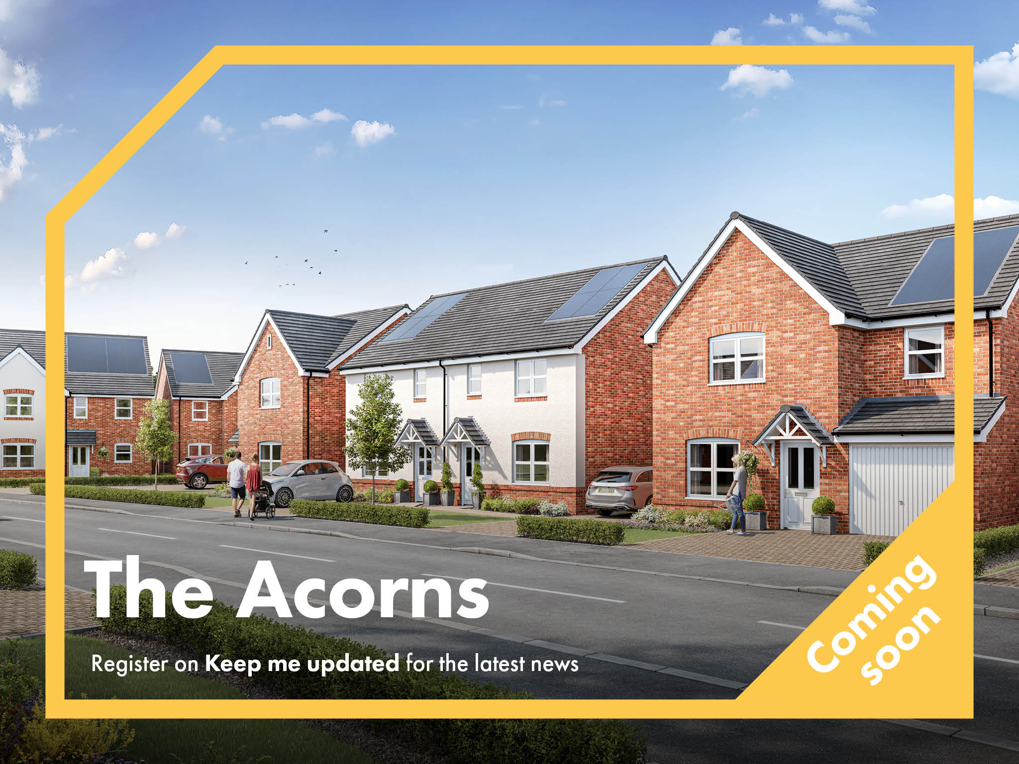 The Acorns