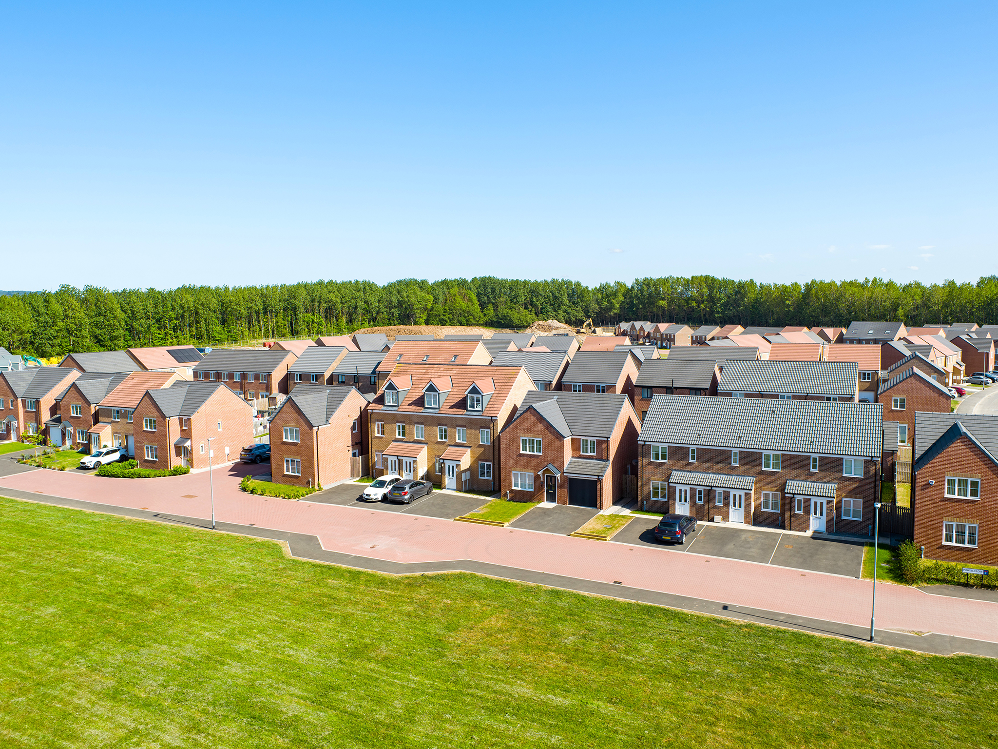 Orchid Gardens at Ladgate Woods