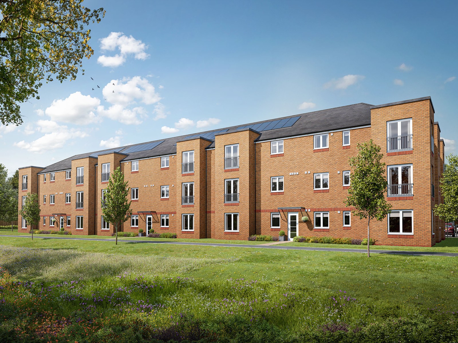 Apartment C36-003